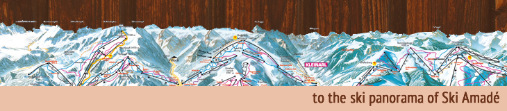 Ski panorama of Ski Amadé